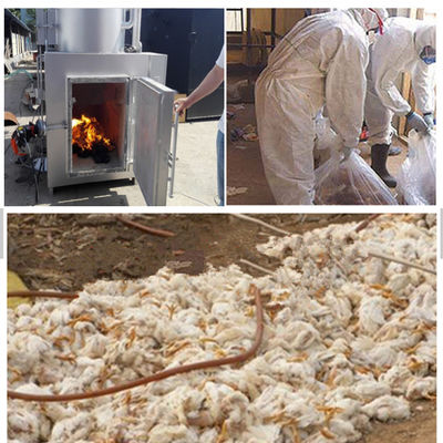 Smokeless Poultry Waste Incinerator with Chimney Core Components and 750L/H Capacity