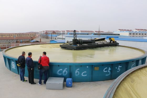 Shallow Air Flotation Machine for Nickel Plating Wastewater Treatment and Performance