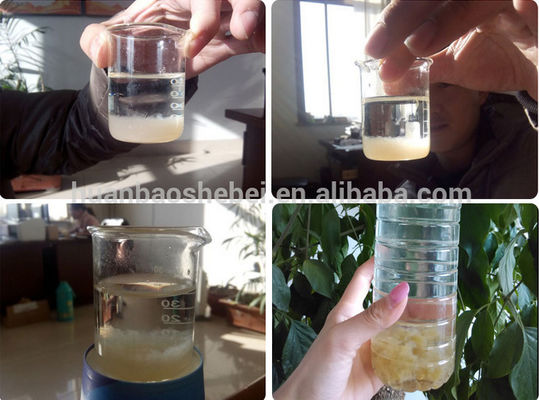 DAF Dissolved Air Flotation Machine Micro Bubble Generator for Water Treatment Solution