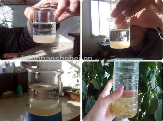 5000L/Hour Productivity With Advanced Dissolved Air Flotation Machine